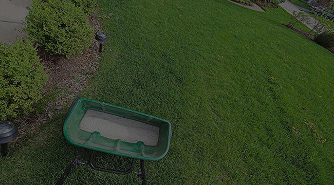 Burnsville Fertilization