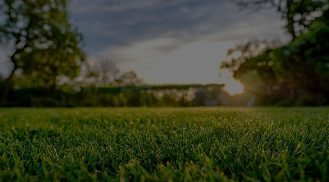 Burnsville Lawn Care
